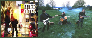 Noise Vibrations and Fumes by The Bitter Roots