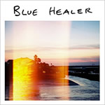 Blue Healer