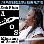 Live at Briggs Farm by Alexis Suter and the Ministers of Sound