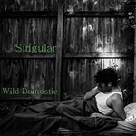 Singular EP by Wild Domestic